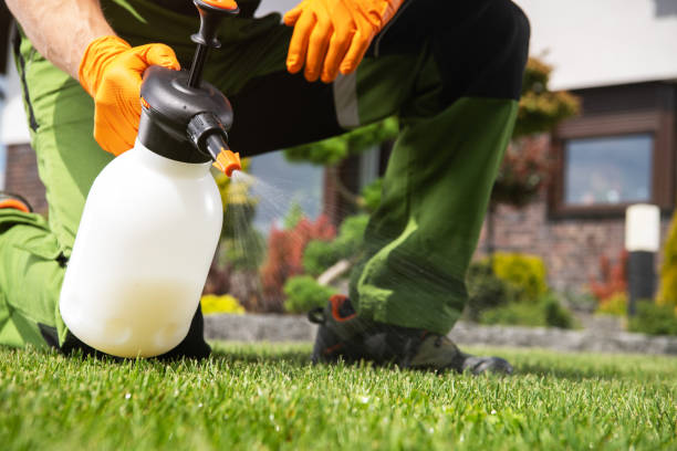 Flea Control Services in Ardmore, PA