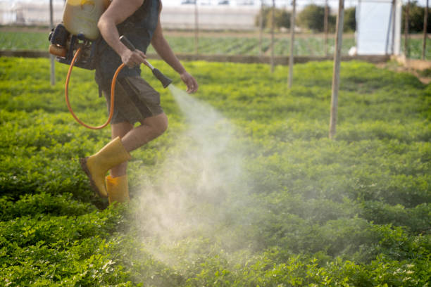 Best Best Pest Control Companies  in Ardmore, PA