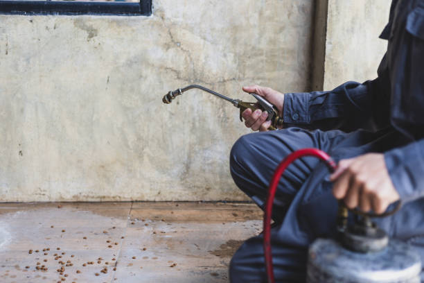 Best Pest Prevention Services  in Ardmore, PA