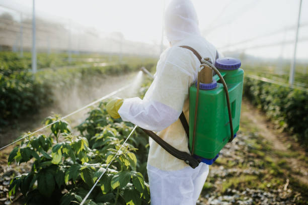 Best Mosquito Control Services  in Ardmore, PA